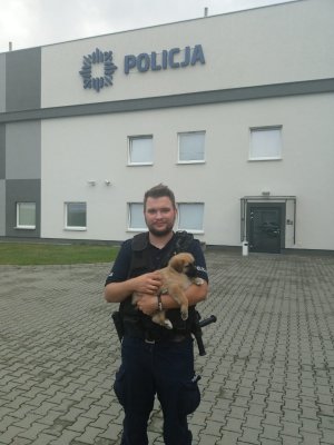 policjant trzyma na rękach szczeniaka