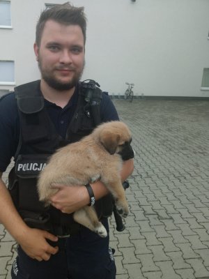 policjant trzyma na rękach szczeniaka