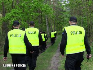 policjanci sprawdzają las