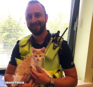 policjant trzyma kotka