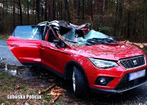 pojazd osobowy koloru czerwonego z uszkodzeniami powstałymi na skutek upadku drzewa